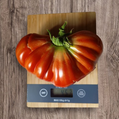socnyetomaty в LOOKY. . **🍅 Помидор дедушки...