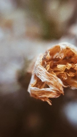 panyushkinroman в LOOKY. . Добрый вечер!
Немнож...
