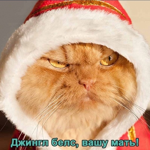 grikot235 в LOOKY. . 