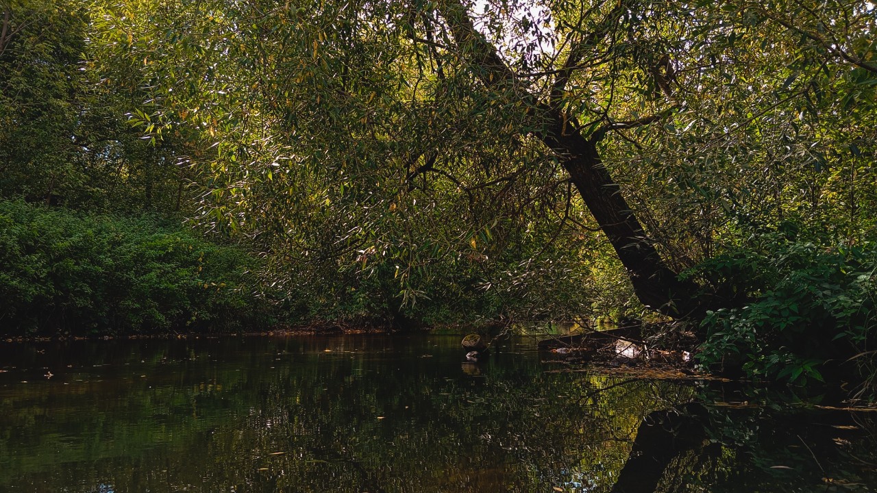 #пейзаж #природа #nature #landscape