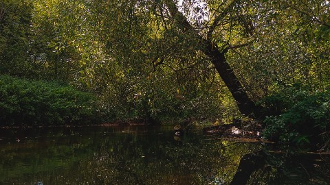 Я and камера в LOOKY. #пейзаж,#природа,#nature,#landscape. #пейзаж #природа #na...