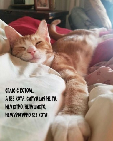 murzikpushistova в LOOKY. . Без слов...