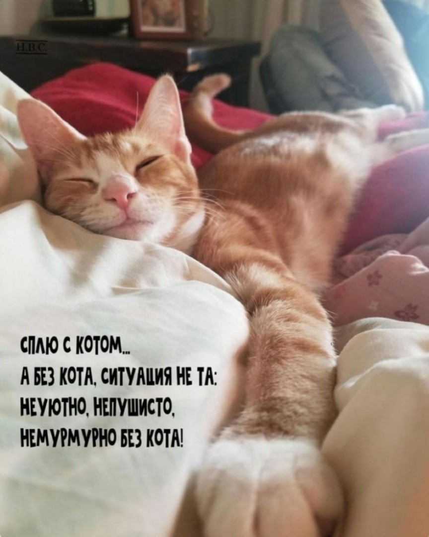 murzikpushistova в LOOKY — Без слов...