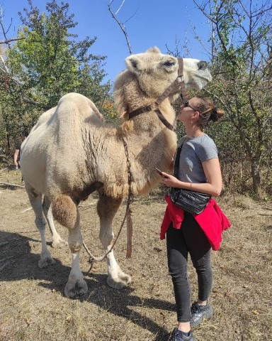 tatianaarshinova в LOOKY. . Он прекрасен 🐫