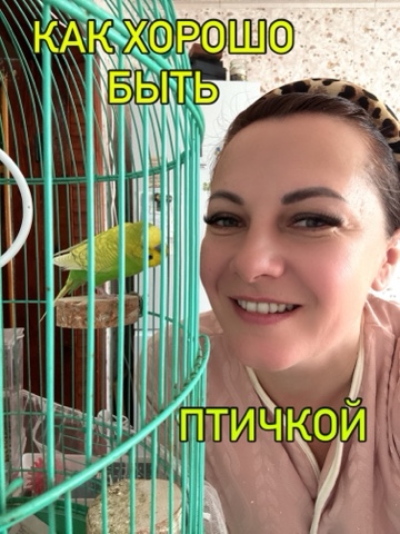 To_live_with_wolves.. в LOOKY. . «Как хорошо быть пти...