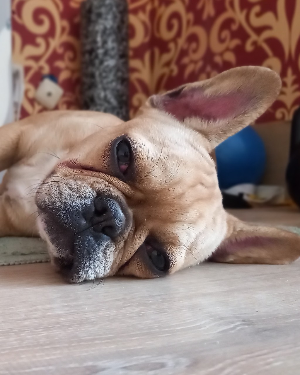 Наташа в LOOKY — фото 4