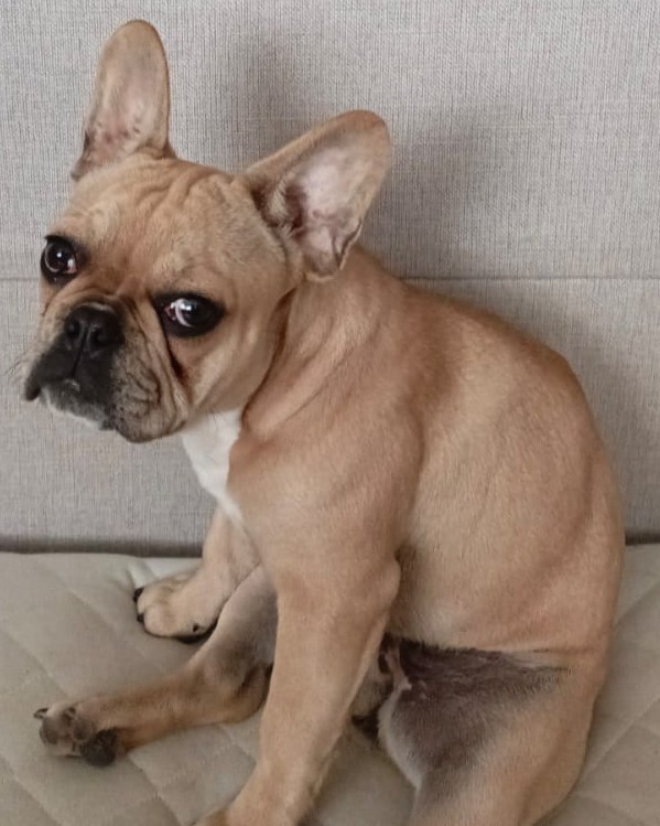 Наташа в LOOKY — фото 1