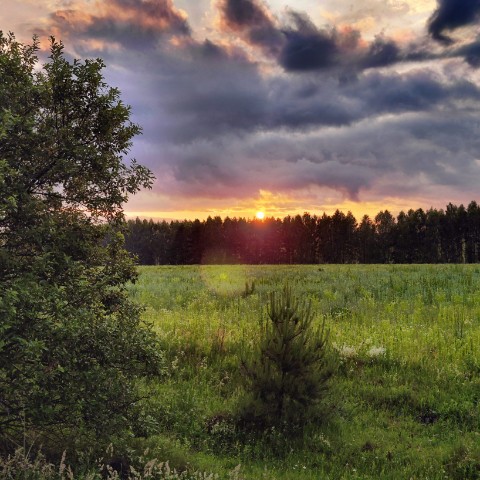 cly4me в LOOKY. . Красоты орловского к...