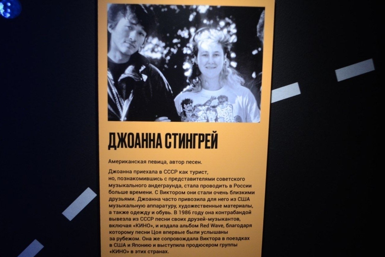 кошка ТЕОРЕМА в LOOKY — фото 2