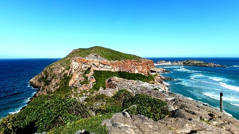 Home_Traveler в LOOKY. . null