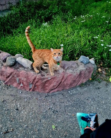 Looky_1682105969882 в LOOKY. . День добрый) ) ) 