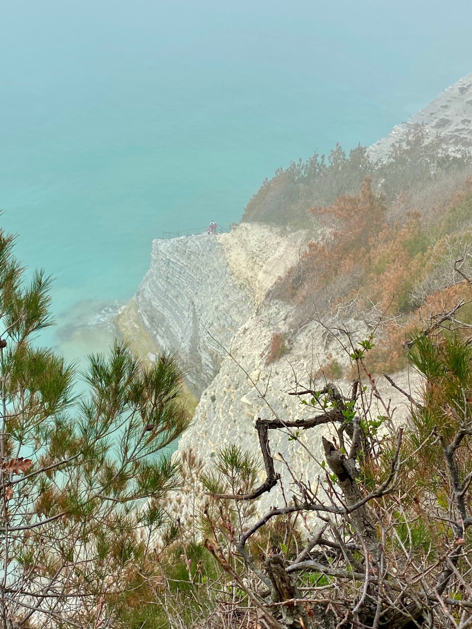 nina_melekhova в LOOKY — фото 2