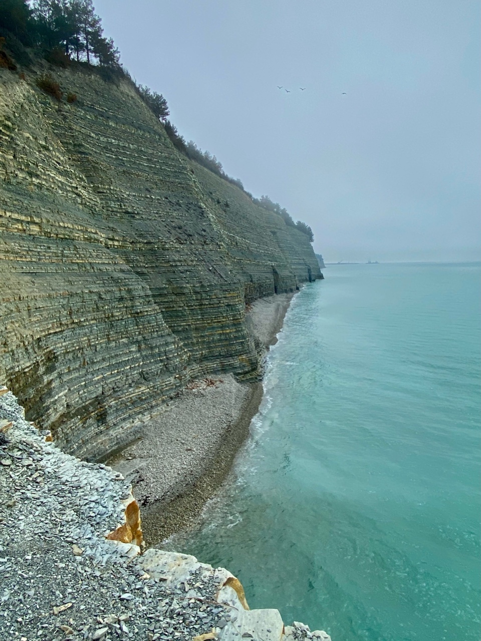 nina_melekhova в LOOKY — фото 4