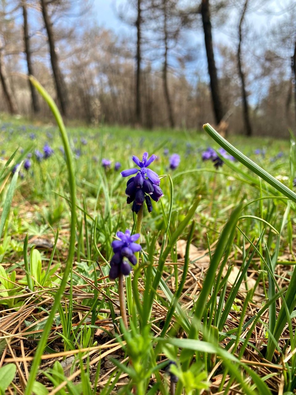 nina_melekhova в LOOKY — фото 9