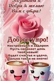 Сириус в LOOKY — публикация