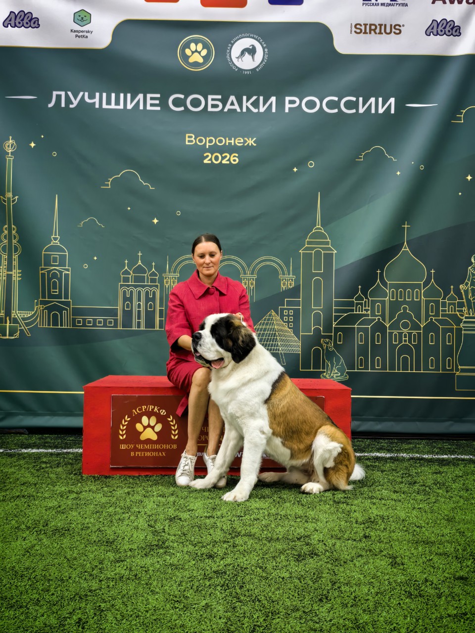 Дом с сенбернарами в LOOKY — В копилочку воспоминаний....

#сенбернар
