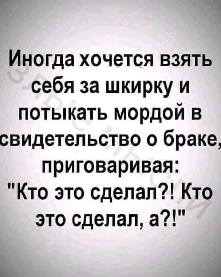 guselnik.irina в LOOKY — 🤣