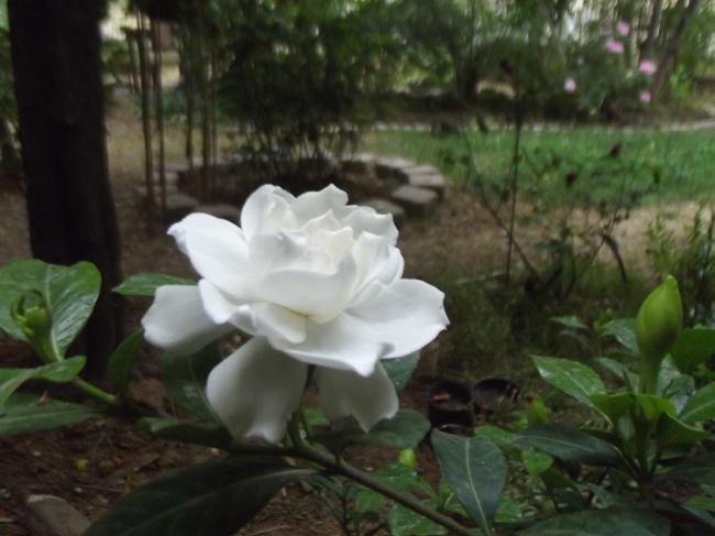 felduhuutruong.qianrenxue в LOOKY — публикация