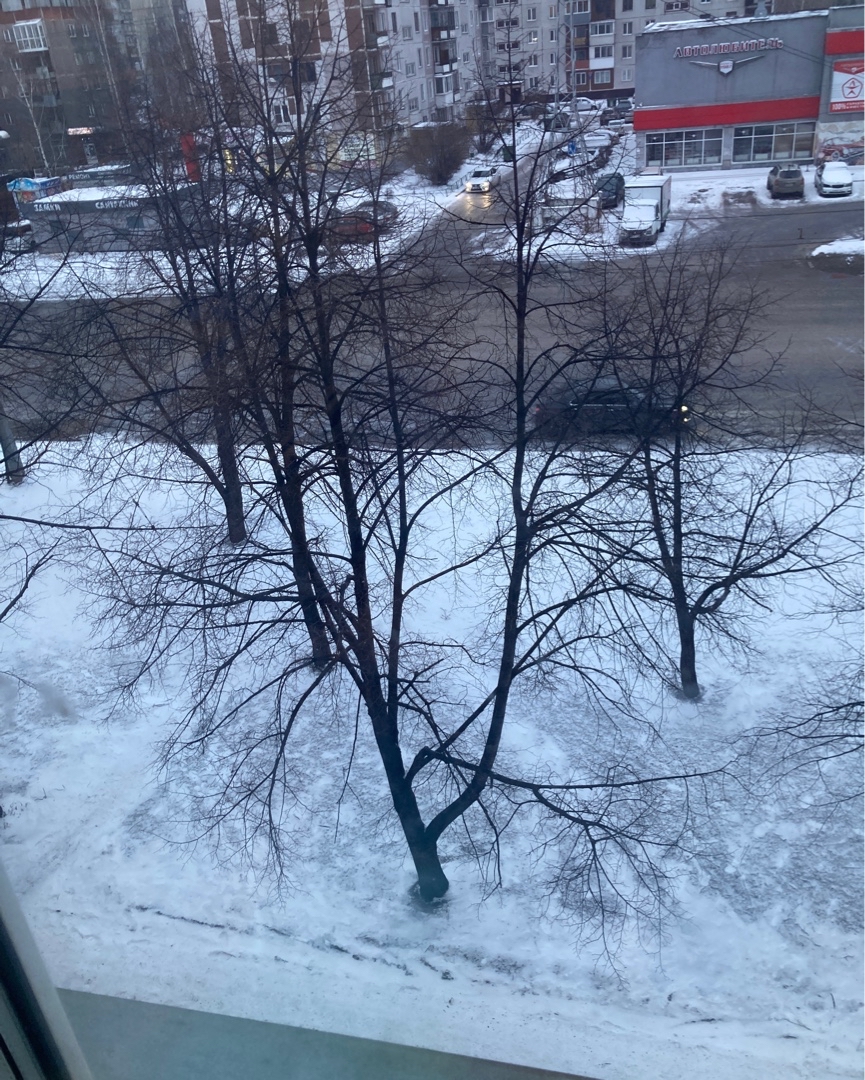 maksen_maksenych в LOOKY — Сегодня к нам заглянула апрельская зима 🥶🌨☃ А какая у вас 