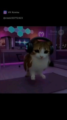 lady_elya2001 в LOOKY. #Edit. Why so cute? Meowl m...