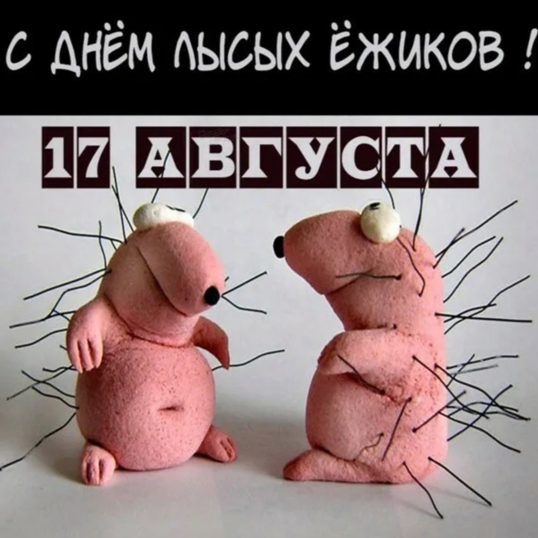 Елена в LOOKY — публикация