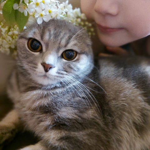 Мусиндра в LOOKY. #муся,#мусиндра,#черемуха. Девочка, как девочка...