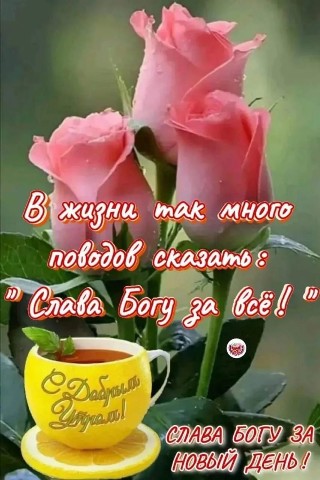 Таша Светлая в LOOKY. #прогнозна23марта2026,#мудростьдня,#ожиданиядругихлюдей,#аффирмациянадень,#ядостойнаяличность,#советыпоздоровьюна23марта,#диетабезмолочныхпродуктовипива,#лёгкаяпищадляздоровья,#несовершатьпокупкинаэмоциях,#физическаяактивность,#толкованиесновинтуиция,#бизнесиденьгиуспех,#отношенияденьрадостиилюбви,#садоводствона23марта,#неодалживатьденьгивещи,#предупреждение.. 📅Цифры говорят
🌠Зв...