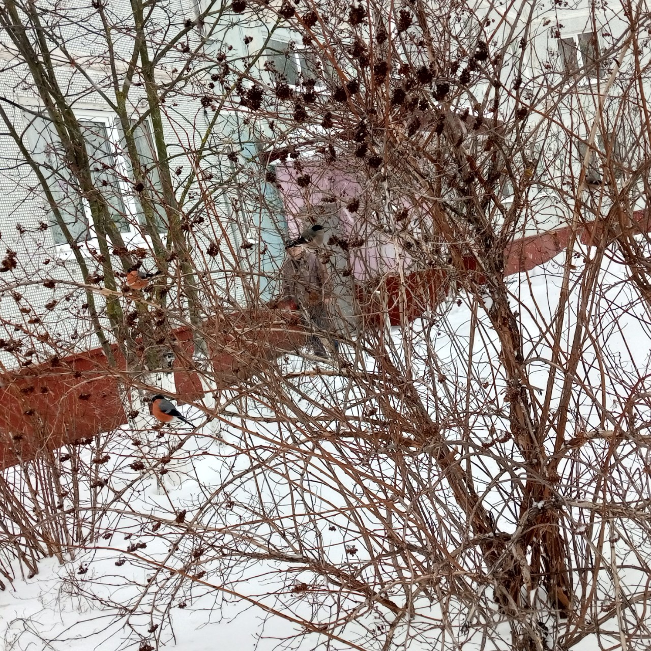 Looky_1702228707546 в LOOKY — #фэнтези_путешествие