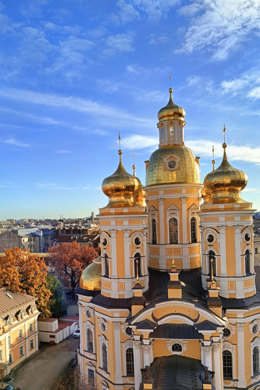 elena.bogdanovha в LOOKY. . Собор Владимирский и...