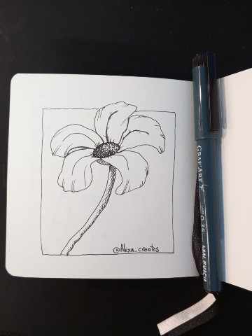 Alexa_creates в LOOKY. #рисую,#линер,#графика,#цветок,#скетчбук,#drawing,#liner,#graphics,#flower,#sketchbook. #рисую #линер #графи...