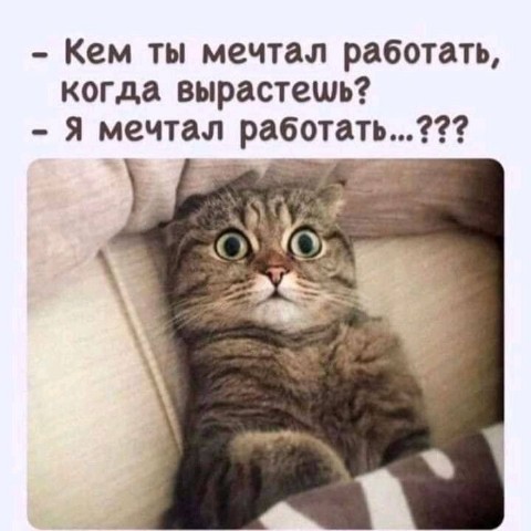 Looky_1694838346504 в LOOKY. . 