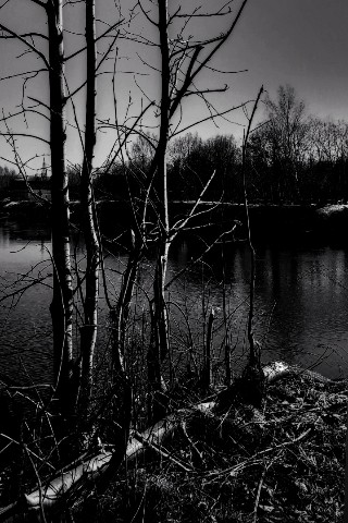 nata_sha 1909 в LOOKY. . В конце марта✨#весна...