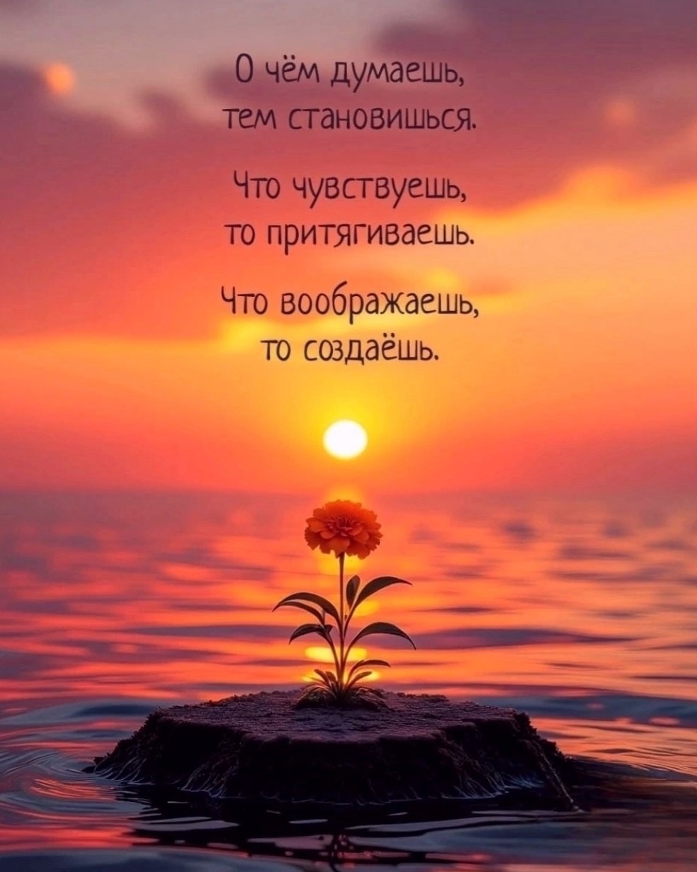 Небесный Светлячок в LOOKY — публикация