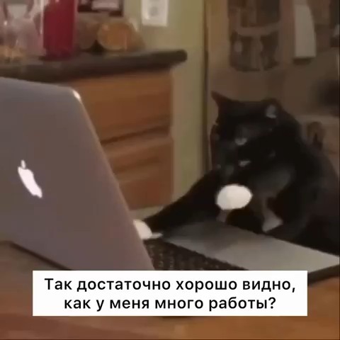  в LOOKY — Имитация бурной деятельности производит на начальство более 