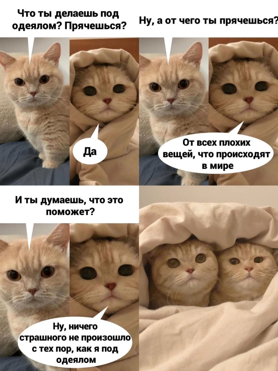 Седня смотрим на котиков, так как они обладают доказанным ярко выраженным эффектом антистресс!
А мемы с котиками-всегда топчик!

#мем [#котикиправятмиром ](котикиправятмиром)[#котики ](котики)[#антистресс ](антистресс)