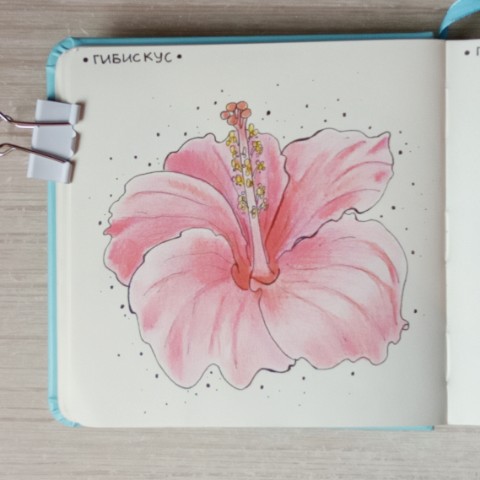 mari_tishchenko в LOOKY. . Ещё ботаника в скетч...