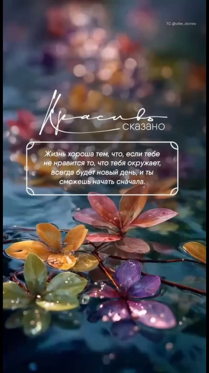 Ирина в LOOKY. . 
