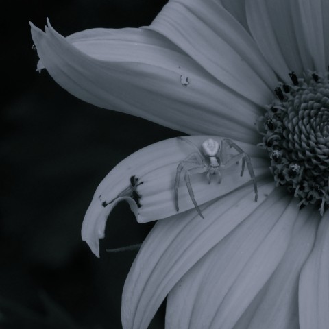 jeanny__a в LOOKY. . 