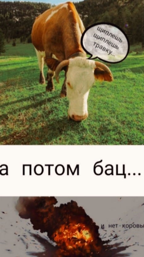 oksigenys