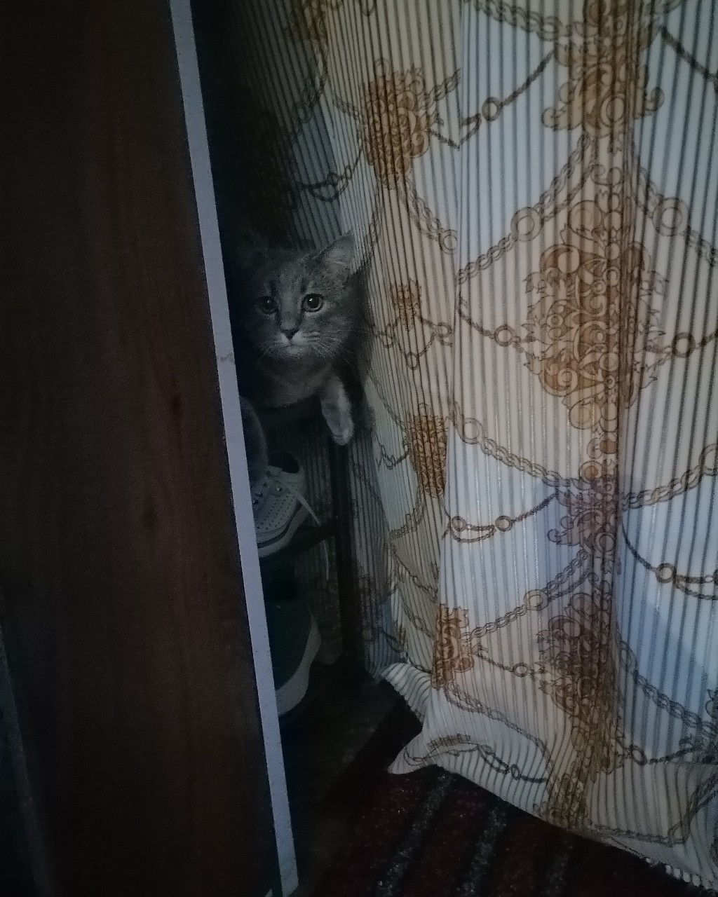 ИринаМилая in LOOKY. . Любитель подглядыват...