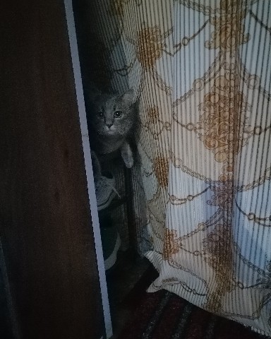 ИринаМилая в LOOKY. . Любитель подглядыват...