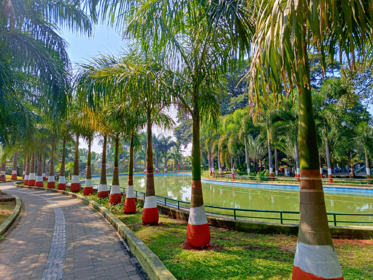 THE ORIGINAL в LOOKY — фото 2