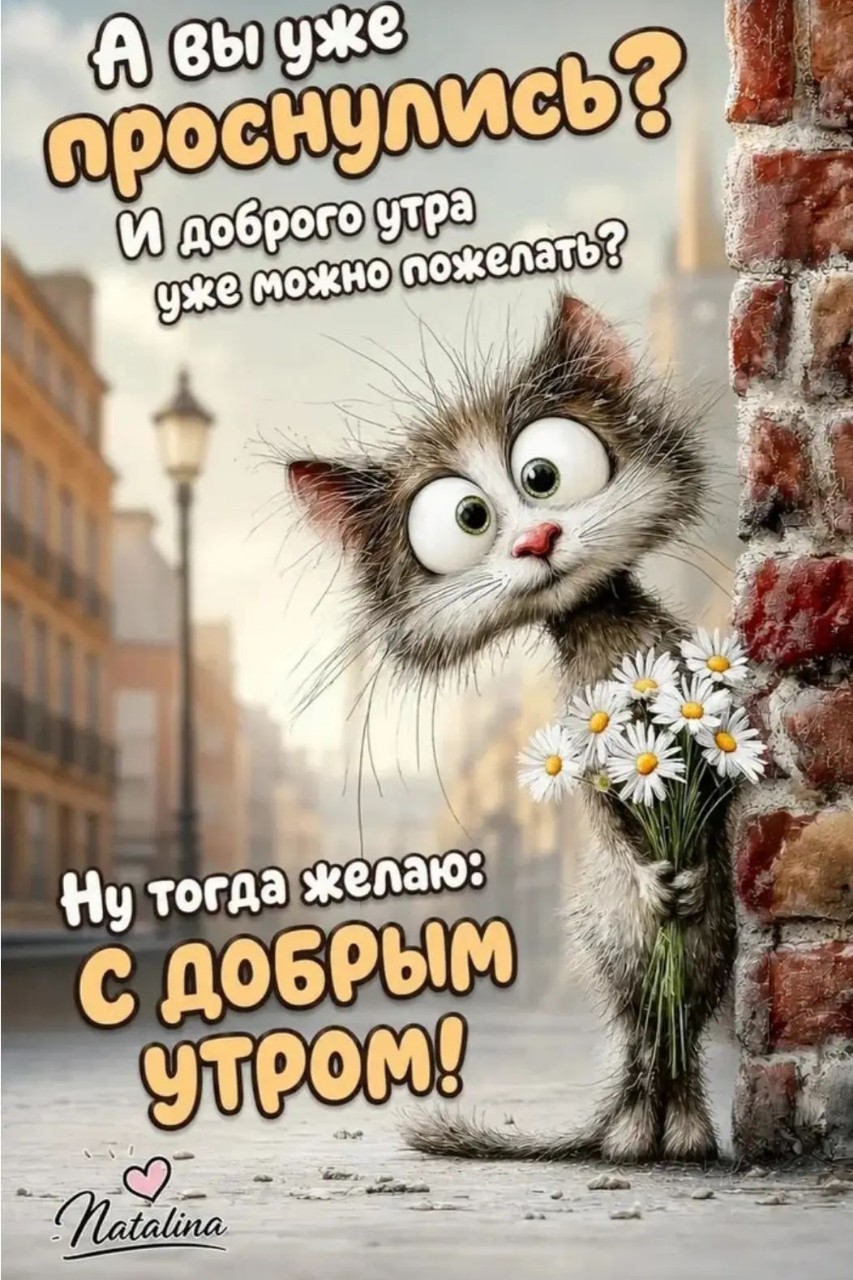  в LOOKY — публикация