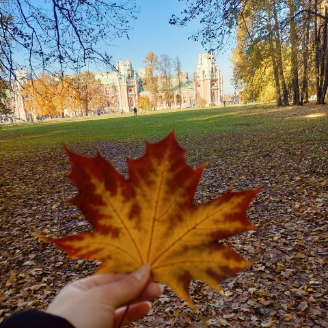 mika_96 в LOOKY. . 