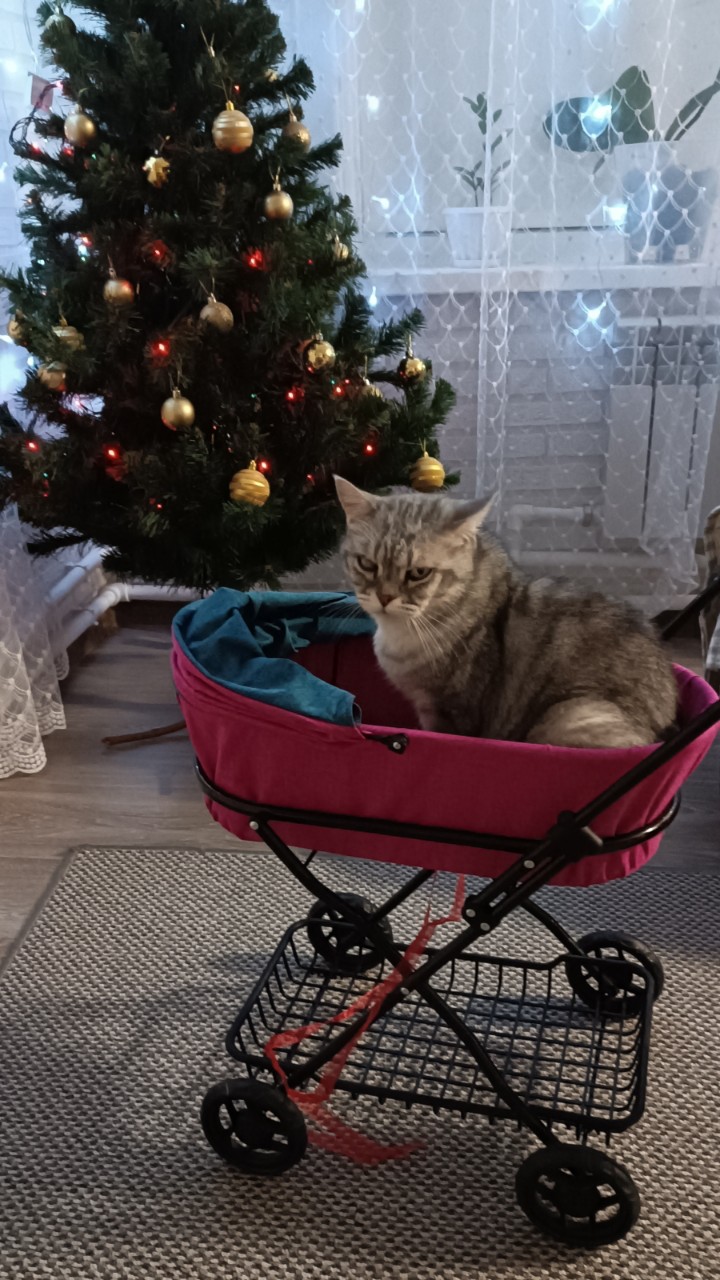 А кому сейчас легко?) 