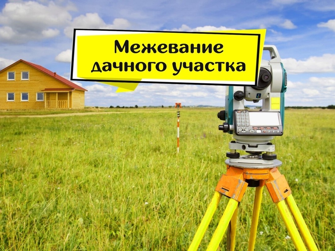 По городам и весям в LOOKY — фото 8