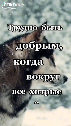 Looky_178768094193027 в LOOKY. . 