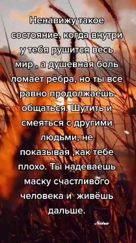 ВОЛК СЕРЫЙ в LOOKY — публикация