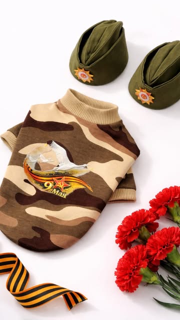 dog_vtrende_shop в LOOKY. #одеждадлясобак,#собакиминпород,#деньпобеды,#9мая,#георгиевскаялента,#чихуахуа#йорк#шпиц#мальтипу#кавапу#тойтерьер#пражскийкрысарик#мальтезе#тойпудель#одеждадлясобак#одеждадлясобаки#одеждадлясобакмелкихпород#футболкадлясобак#адресник#адресникдлясобаки#украшениядлясобак#бусыдлясобак#адресникизсмолы#парныебраслеты#платьедлясобак#худидлясобак#свитердлясобак#минисобаки. Представляем вашему ...