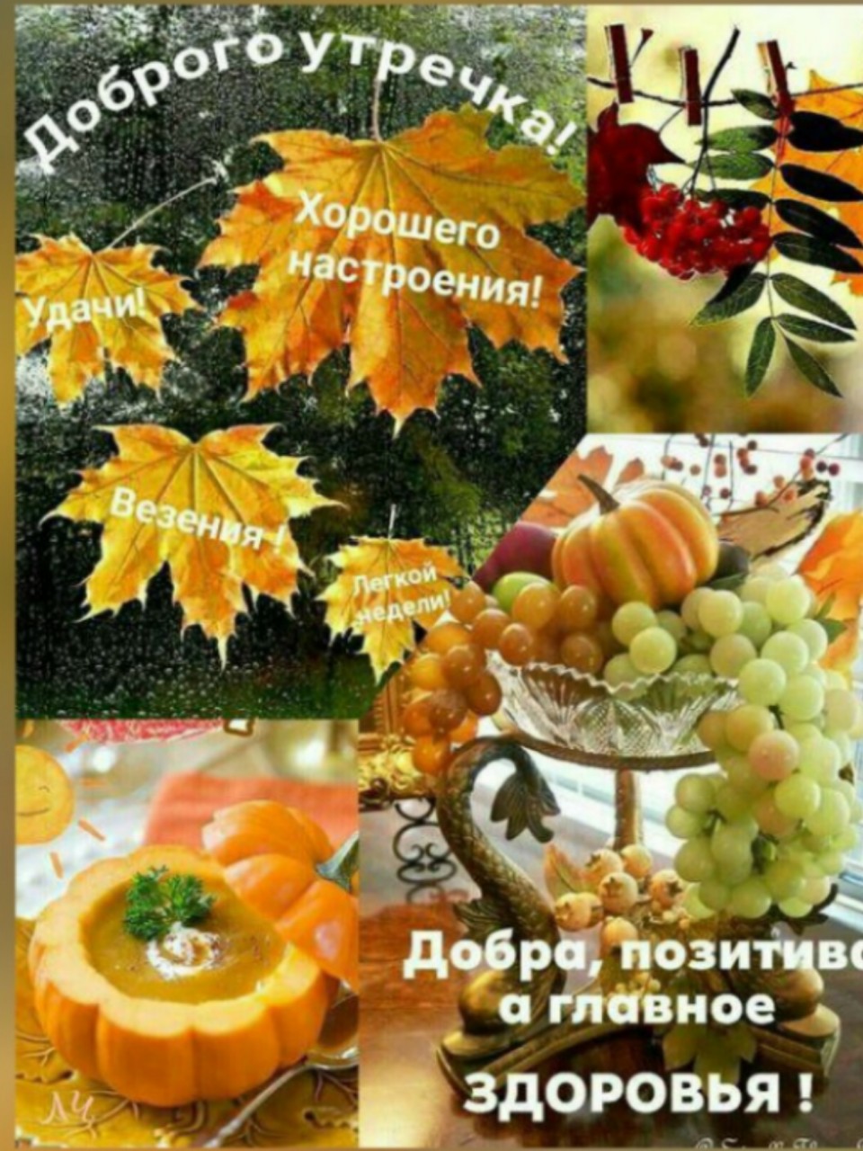 Дудинова Ирина в LOOKY — публикация